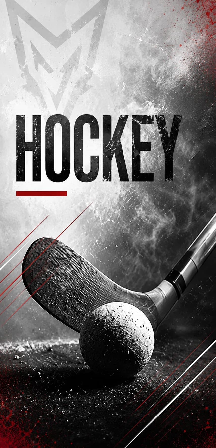 001 - hockey (1)