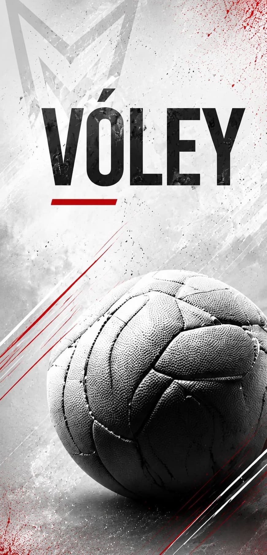 001 - voley (1)